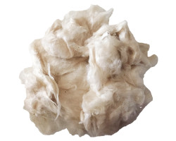 KAPOK PREJA<br /><span>(0,5 KG)</span>